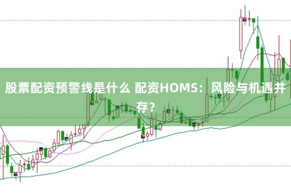 股票配资预警线是什么 配资HOMS：风险与机遇并存？