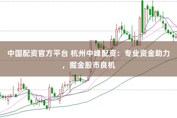 中国配资官方平台 杭州中峰配资：专业资金助力，掘金股市良机