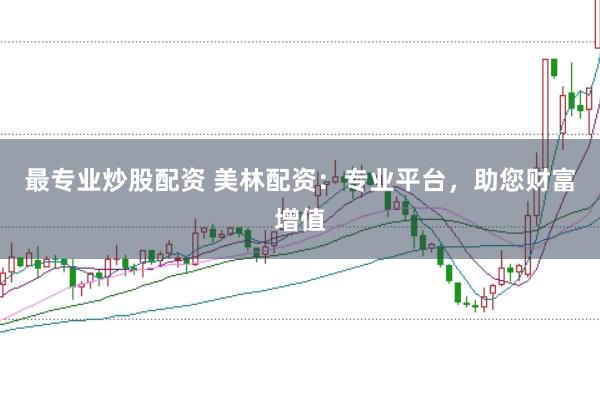 最专业炒股配资 美林配资：专业平台，助您财富增值