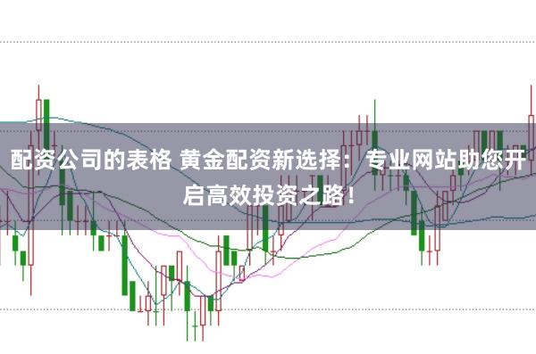 配资公司的表格 黄金配资新选择：专业网站助您开启高效投资之路！