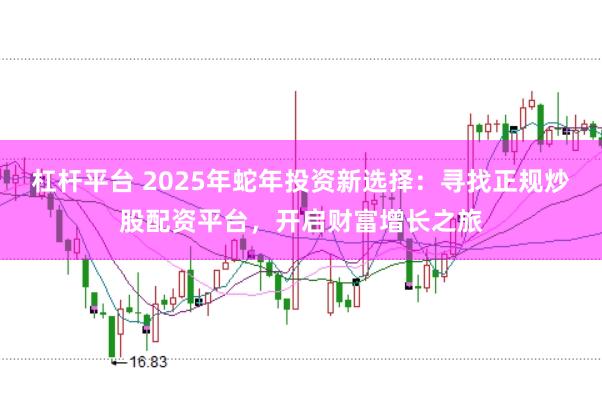 杠杆平台 2025年蛇年投资新选择：寻找正规炒股配资平台，开启财富增长之旅