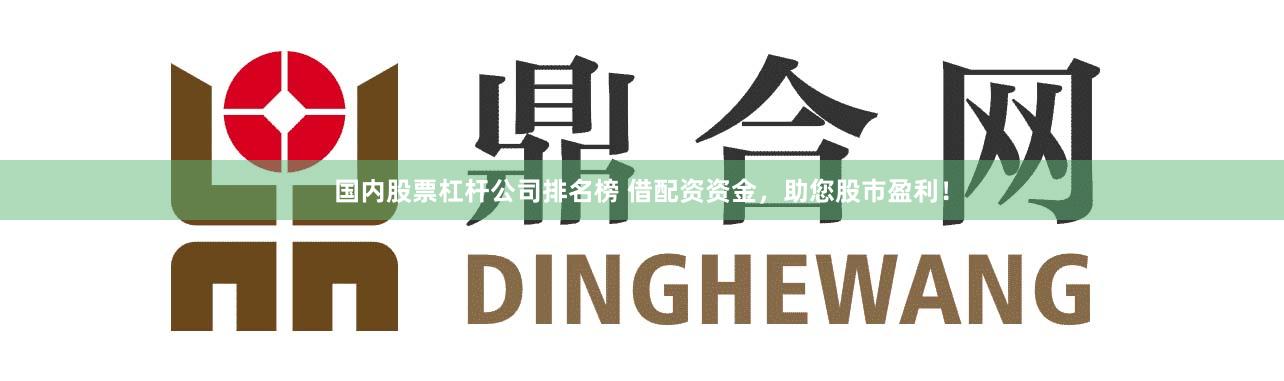 国内股票杠杆公司排名榜 借配资资金，助您股市盈利！